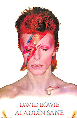 DAVID BOWIE - ALADDIN SANE  MAXI POSTER  (İTHAL)