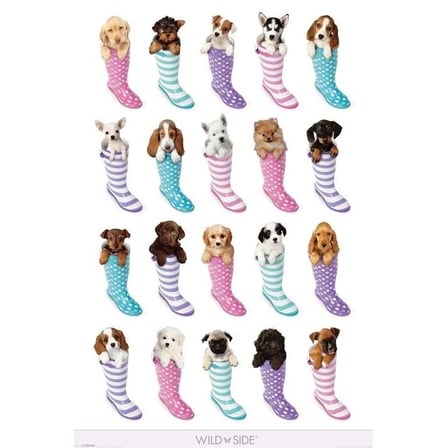 Maxi Poster Wildside (Dogs In Boots)