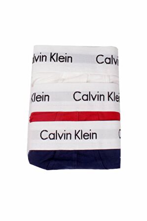 Calvin Klein Erkek Slip