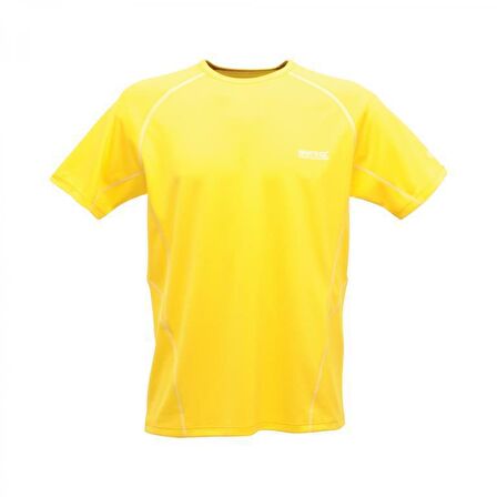 Regatta Kendrik Erkek T-Shirt-SARI