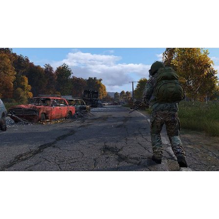 Dayz PS4 Oyun