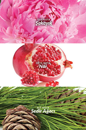 Eve Truth Kadın Parfümü Edp 50 Ml.