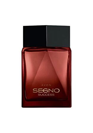 Segno Success Edp 75 ml Erkek Parfüm