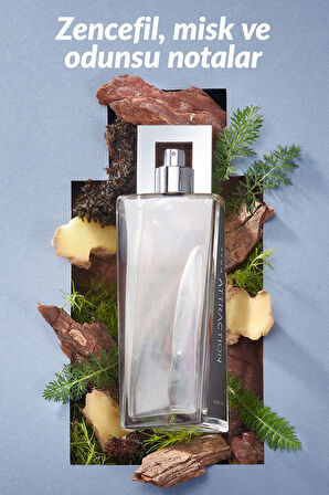 Attraction Erkek Parfüm Edt 75 Ml.