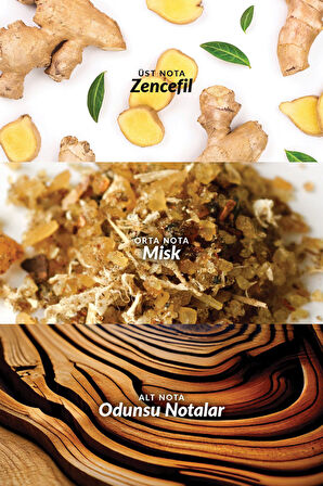 Attraction Erkek Parfüm Edt 75 Ml.