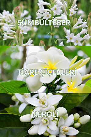 TTA Celebrate Hediye Seti