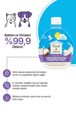 Konsantre Dezenfektan-Bakteri ve virüslerin %99,9'unu öldürür,Kokuları temizler 500ml