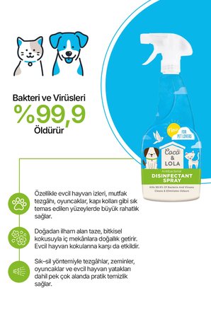 Dezenfektan Sprey-Bakteri ve virüslerin %99,9'unu öldürür ve kokuları temizler-500ml
