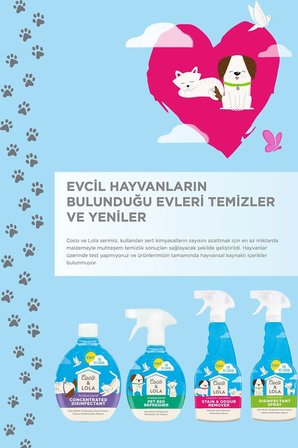 Dezenfektan Sprey-Bakteri ve virüslerin %99,9'unu öldürür ve kokuları temizler-500ml