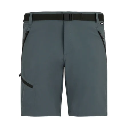 Regatta X-Ert Stretch Erkek Şort-FÜME