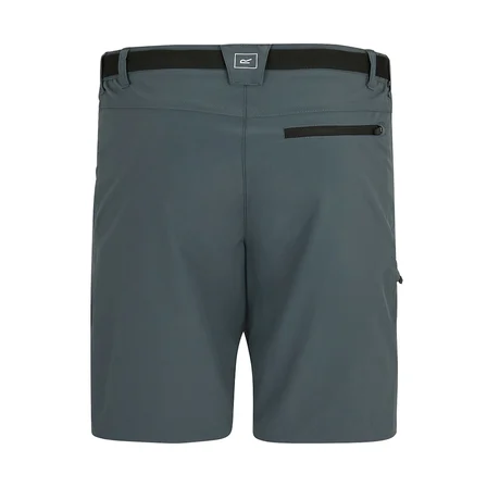 Regatta X-Ert Stretch Erkek Şort-FÜME