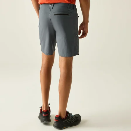 Regatta X-Ert Stretch Erkek Şort-FÜME