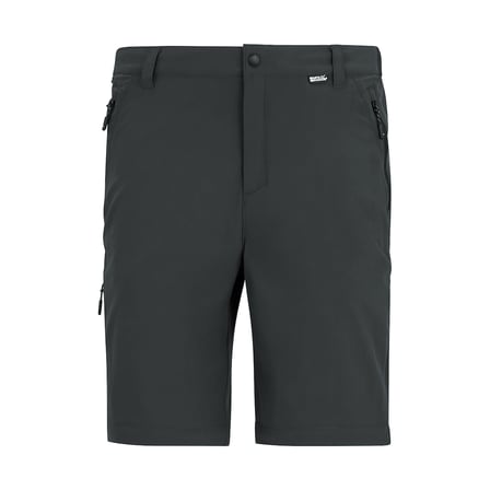 Regatta A-instTvlLtZ/Otrs Erkek Pantolon-GRİ