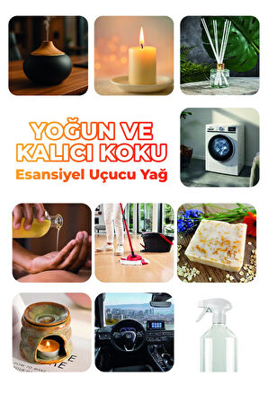 Amber Çiçeği Esansiyel Uçucu Koku Yağı Buhurdanlık Yağı Difüzör Esansı 3'Lü Set 3x10ml Amber Çiçeği Esansiyel Uçucu Koku Yağı Buhurdanlık Yağı Difüzör Esansı 3'Lü Set 3x10ml