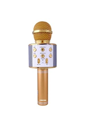 Concord C-792m Bt/tf/usb Türkçe Karaoke Mikrofon