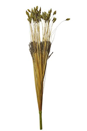 Paşabahçe Grass 75 Cm
