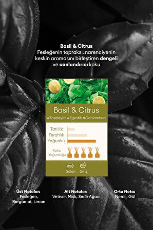 Parfüm Difüzörü Seçkin Gold Seri KUNDAL Perfume Diffuser Gold Edition 200ml 2Adet (Basil & Citrus)