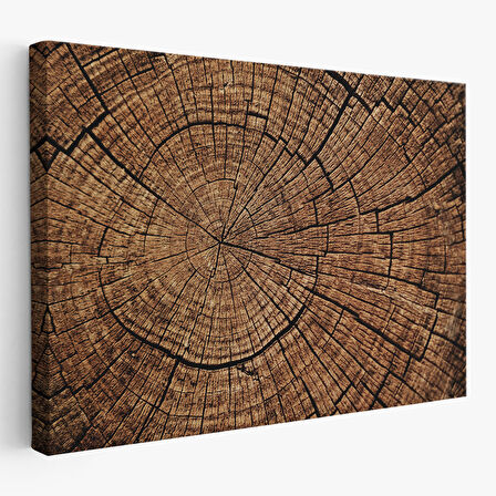 Ağaç Kütük Desenli Kanvas Tablo-5076