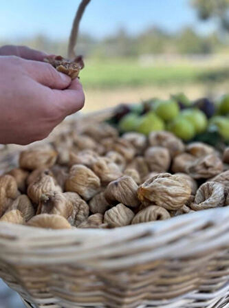 Adalılar Çiftliği Orta Boy Kuru İncir 500 Gr.