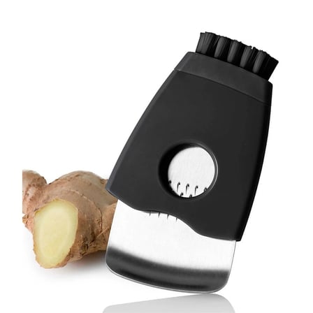 Adhoc Zenzero Zencefil Rendesi