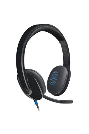 H540 981-000480 Usb Kablolu Siyah Kulaklık OUTLET