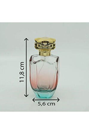 PARFÜM ŞİŞE 100 ML (10 ADET) ÇİFT RENKLİ KOLAY KAPAMA BOŞ ŞİŞE