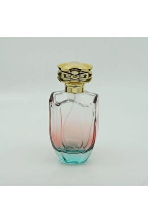 PARFÜM ŞİŞE 100 ML (10 ADET) ÇİFT RENKLİ KOLAY KAPAMA BOŞ ŞİŞE