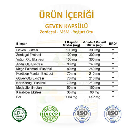 Geven Kapsül (ASTRAGALUS CAPSULE)