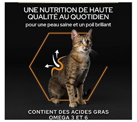 Proplan Elegant Adult Cat Somonlu Yetişkin Kedi Maması 10 Kg