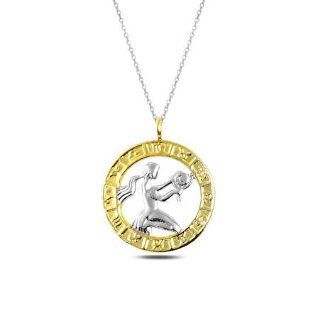 Özel Kutu ve Gümüş Bezi İle ​Gümüş Gold Başak Burcu Kolye