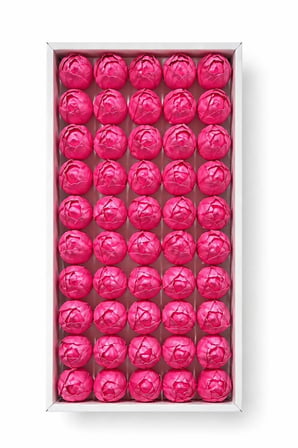 Pembe Kokulu İthal Kafa Lale 4,5 cm - 50 Adet