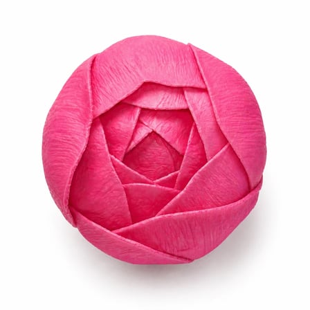 Pembe Kokulu İthal Kafa Lale 4,5 cm - 50 Adet