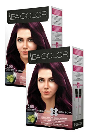 Sea Color 3/66 Patlıcan Moru Saç Boyası 100 ml x 2 Kutu