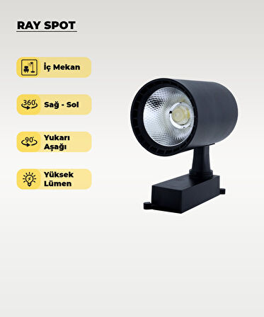 30W Siyah Ray Spot 4000K (Gün Işığı)