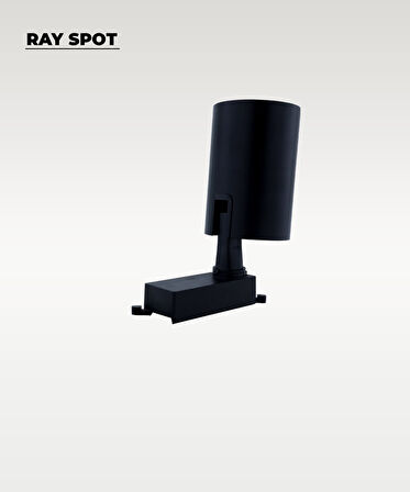 30W Siyah Ray Spot 4000K (Gün Işığı)