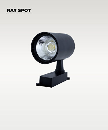 30W Siyah Ray Spot 4000K (Gün Işığı)