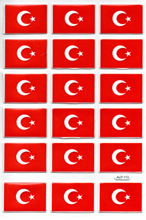 Sticker Kabartmalı A4 Boyutunda Stiker Defter, Planlayıcı Etiket-(lim113) -Türk Bayrağı