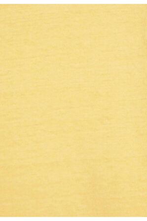 Gold Tab Natural Dye Yellow T-shirt  Relaxed Fit