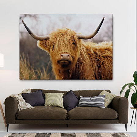 Amerikan Yayla İneği Kanvas Tablo-5156