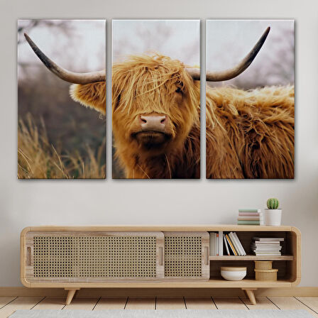 Amerikan Yayla İneği Kanvas Tablo-5156