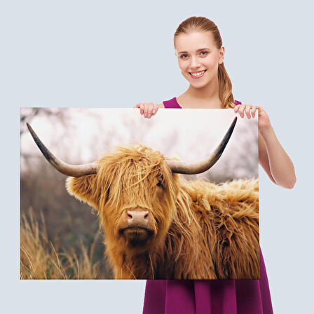 Amerikan Yayla İneği Kanvas Tablo-5156