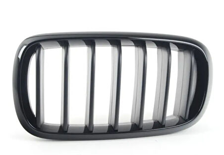 ÖN BÖBREK PANJUR SOL M PERFORMANCE F15/F16 51712334708