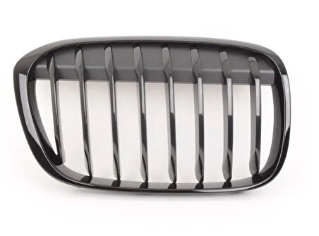 ÖN BÖBREK PANJUR SAĞ M PERFORMANCE F48/X1 51712407732