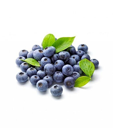1-2 Yaş Arası Tüplü Yaban Mersini (Vaccinium corymbosum) Fidanı - Sağlıklı ve Lezzetli Mavi Meyveler