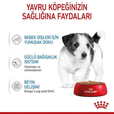 Royal Canin Küçük Irklar için Yavru Yaş Köpek Maması 85g