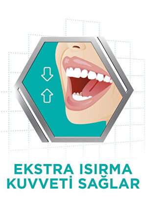 Tat Içermez Protez Yapıştırıcı Krem 40 gr - 24 Adet