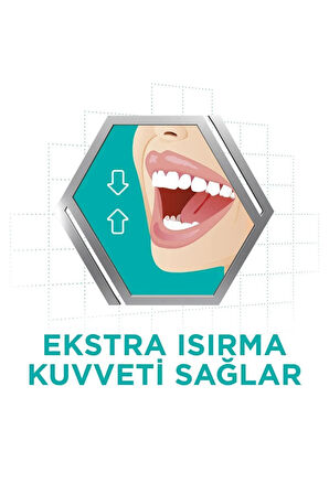 Corega Tat İçermez Yapıştırıcı Krem 40 gr x 4 Adet