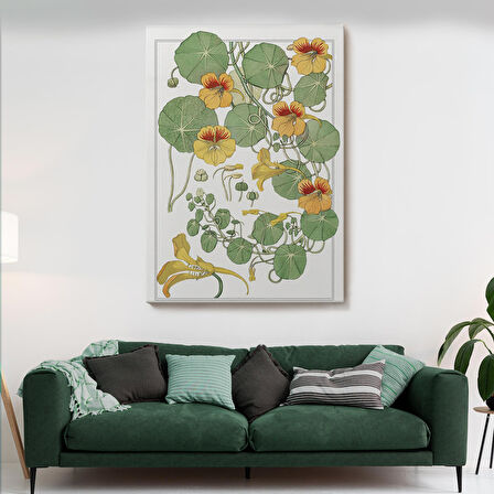 Nasturtium Çiçeği Kanvas Tablo-5206