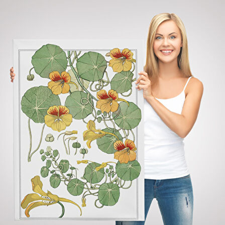 Nasturtium Çiçeği Kanvas Tablo-5206