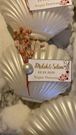 20 Adet İstiridye Mum 